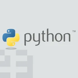 Python